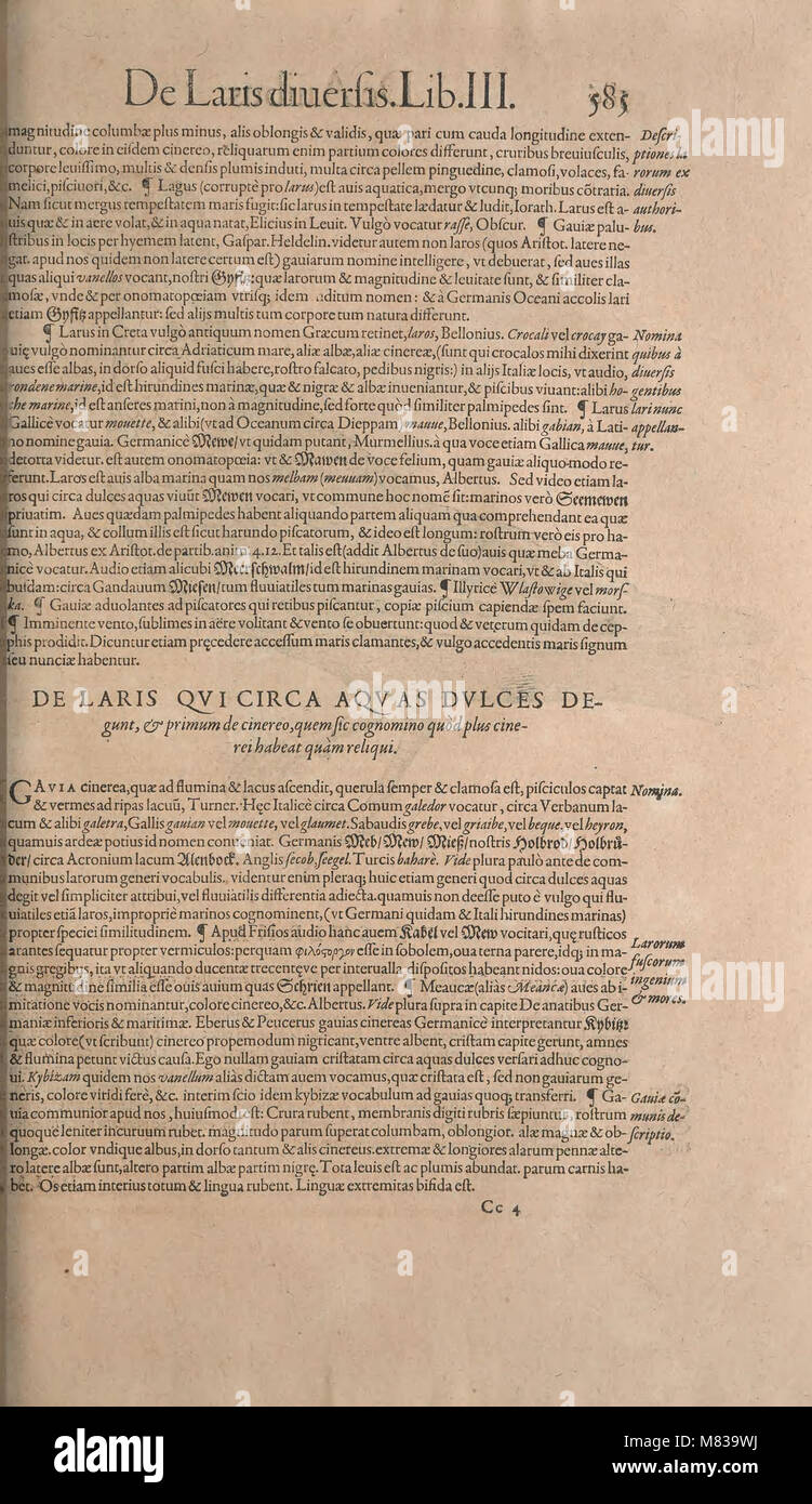 Conr. Gesneri Tigurini, medicinae et philosophiae professoris in Schola Tigurina, Historiae animalium liber II - qui est de quadrupedibus ouiparis (MDLXXXVI (1586)) (20655780556) Foto Stock