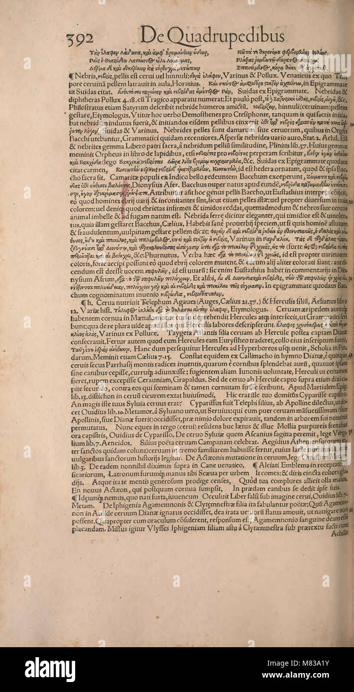 Un'opera storica di Conrad Gesner, che descrive gli animali quadrupli, rivolta a filosofi, medici, grammatici, filologi e studiosi di varie lingue e discipline. Pubblicato nel 1550, fornisce conoscenze fondamentali per vari campi di studio. Foto Stock
