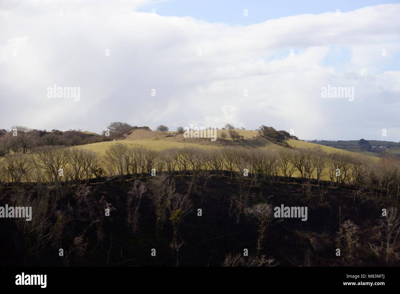 Pen Rhos iron age hillfort, liquidazione, anche il sito di Norman motte e bailey, Llanrhystud, Wales, Regno Unito Foto Stock