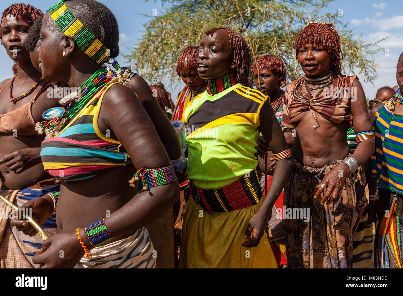 Hamar tribù le donne a un toro Jumping cerimonia, Dimeka, Valle dell'Omo, Etiopia Foto Stock