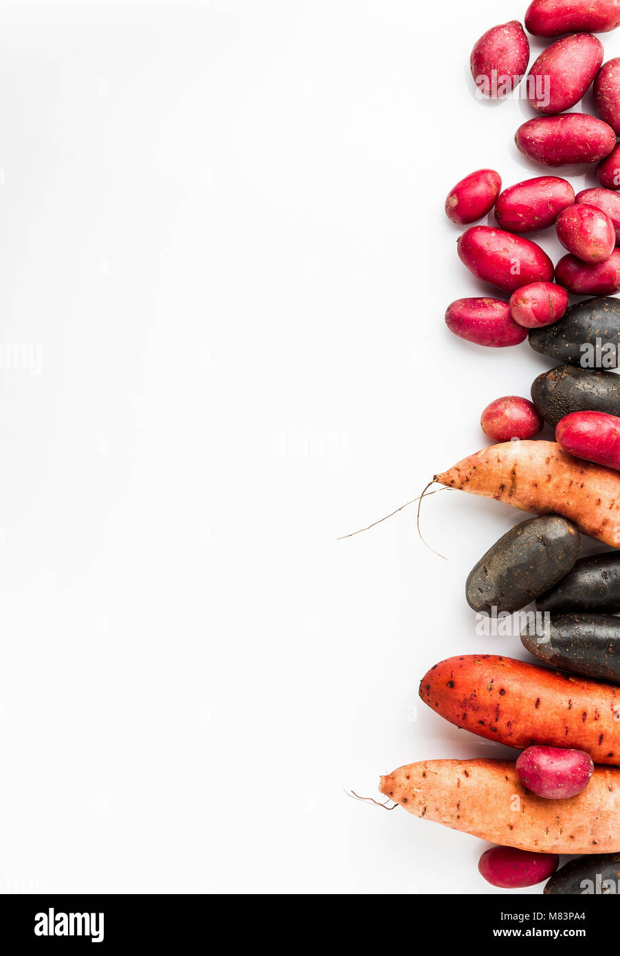 Diverse varietà nella forma e nel colore delle patate su un bianco isolato. sfondo rosso, nero delle Shetland e della patata dolce Foto Stock