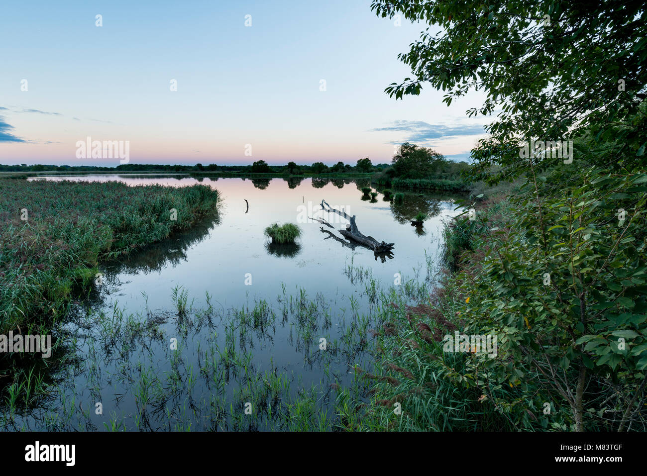 Paesaggio di etang o stagno Ricot su riserva naturelle de chérine al parco naturale di La Brenne Foto Stock