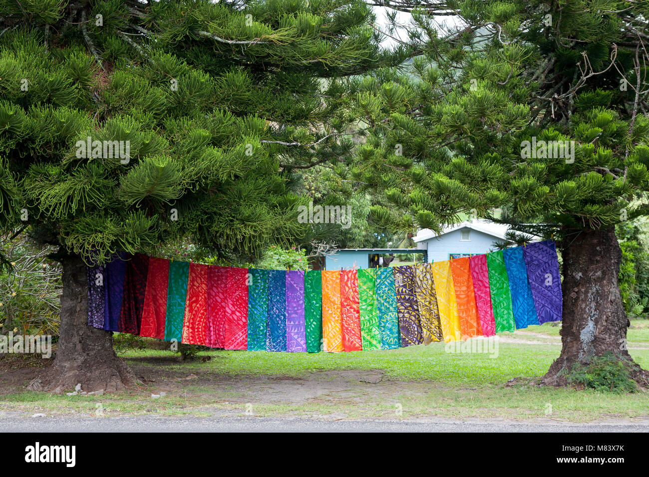 I colori dell'arcobaleno, vivacemente colorato materiale appesi ad asciugare tra due alberi a Cook Island South Pacific. Foto Stock