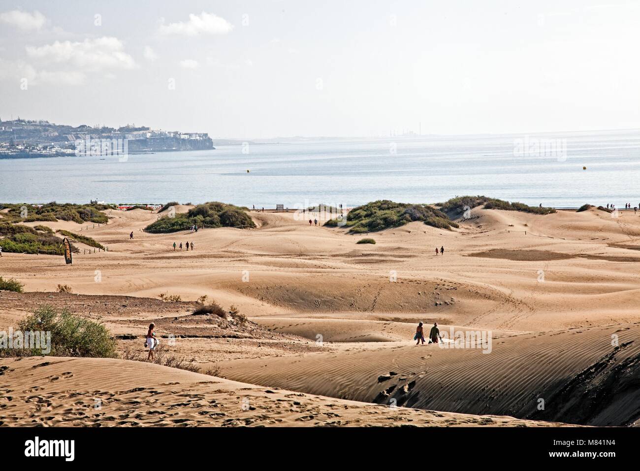 Estese dune di Maspalomas spagna isole canarie Foto Stock
