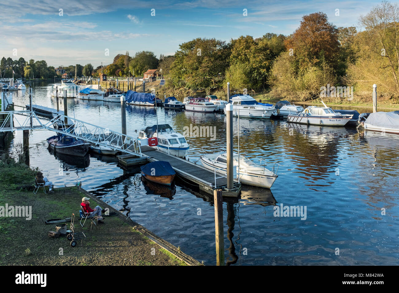 Barche ormeggiate lungo il fiume Tamigi, Teddington, London Borough of Richmond upon Thames, Regno Unito Foto Stock