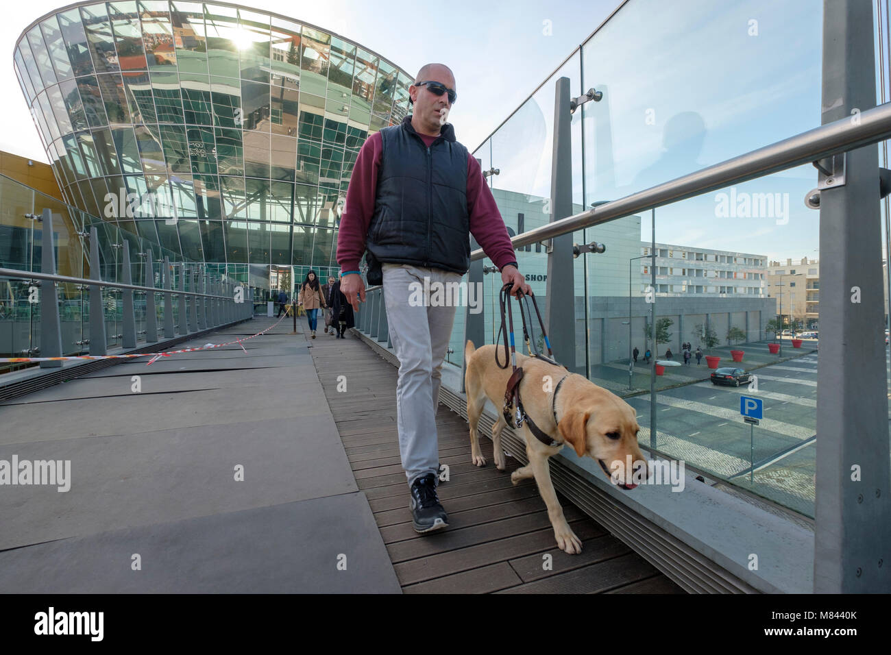 Persona cieca con cane guida Foto Stock