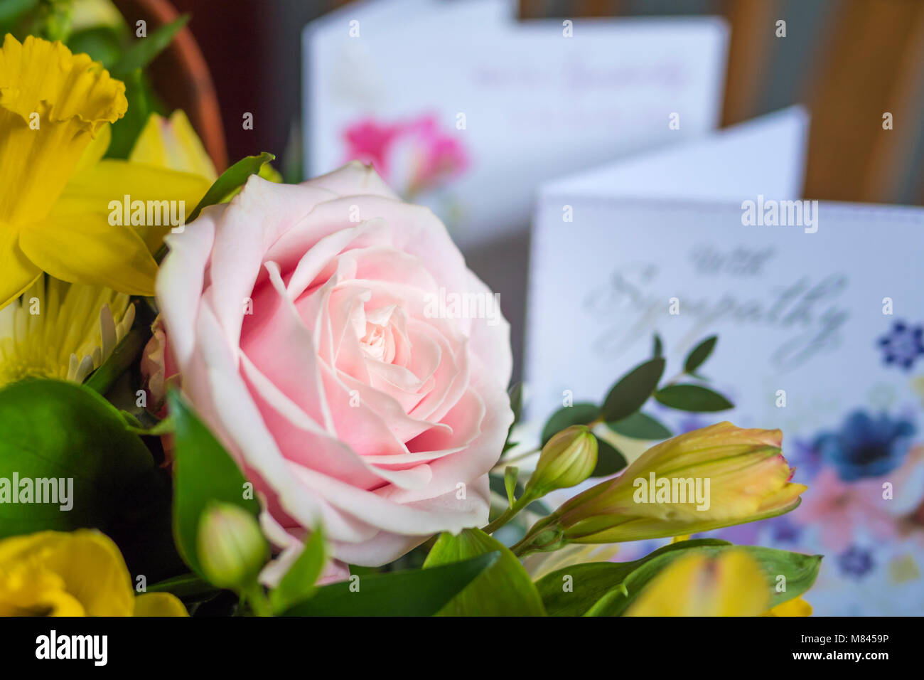 Fiori per funerali Foto Stock