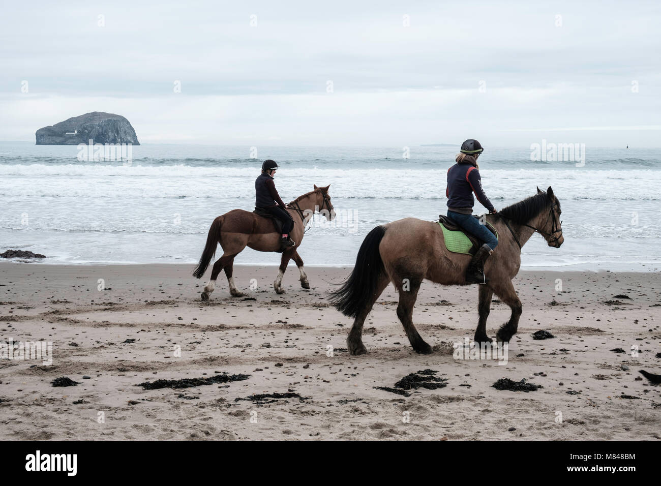 A cavallo sulla spiaggia Seacliff in East Lothian, Scozia, Regno Unito Foto Stock