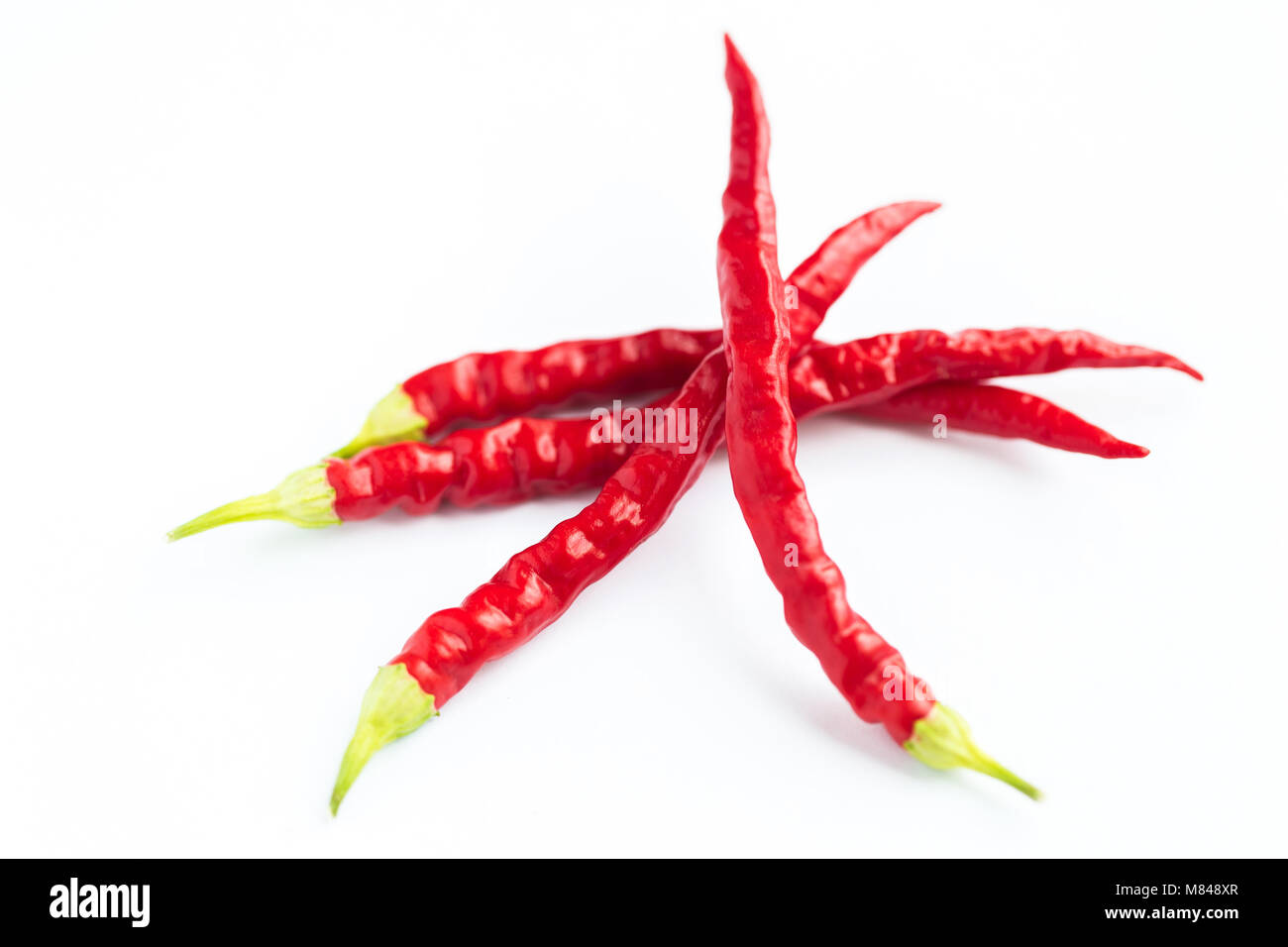 Hot Pepper indiano Foto Stock