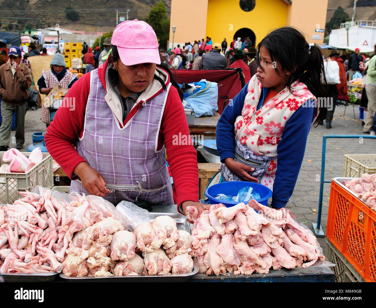ECUADOR, PUJILI - 11 agosto 2012; indigeni donna ecuadoriana in vestiti nazionali di vendita chikcen fresco su un mercato nel villaggio di Pujili Foto Stock