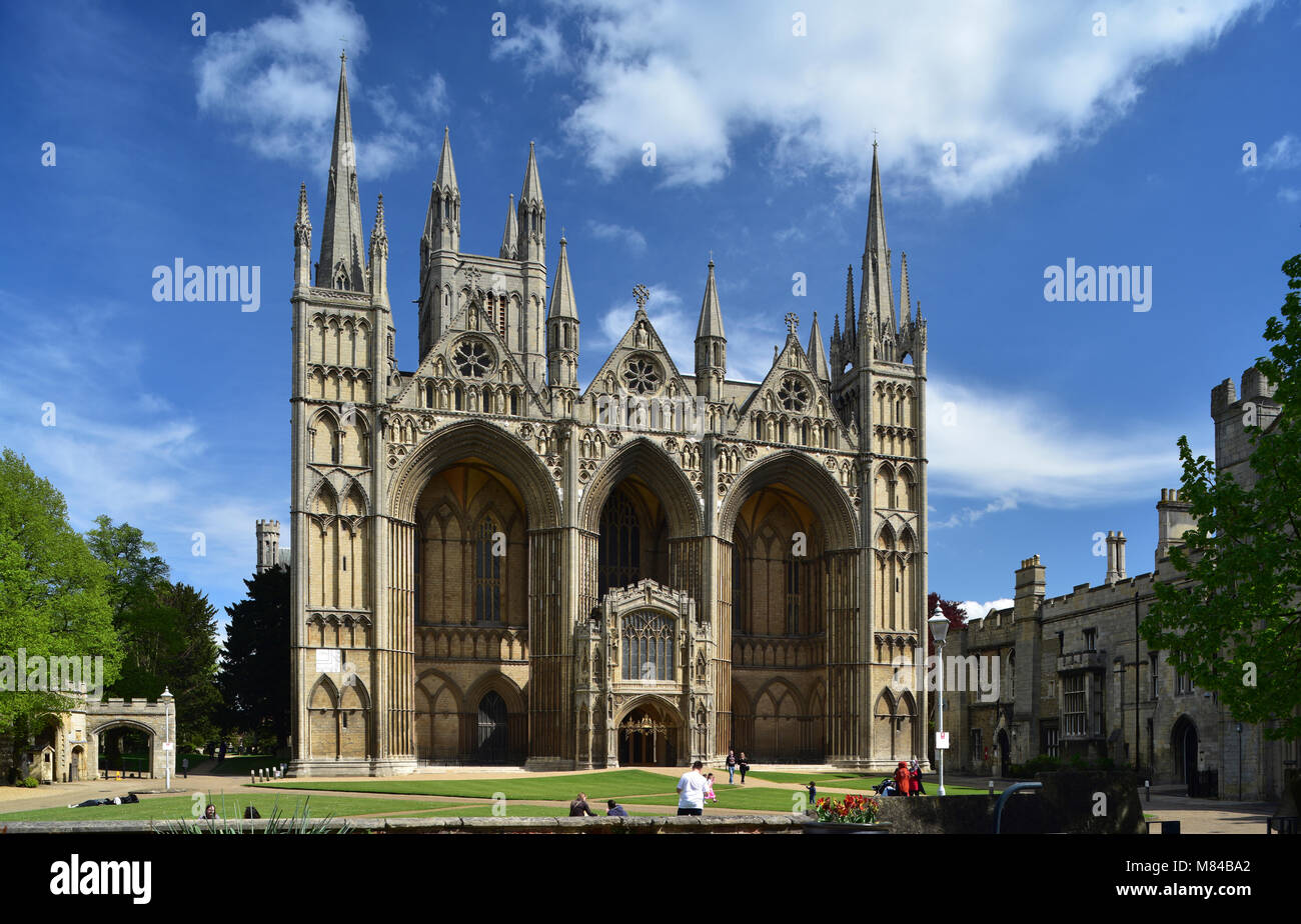 Peterborough Cathedral, Cambridgeshire, England, Regno Unito Foto Stock