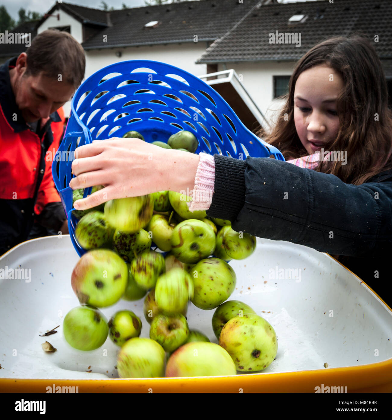 Craft di succo di mela di produzione in Germania Foto Stock