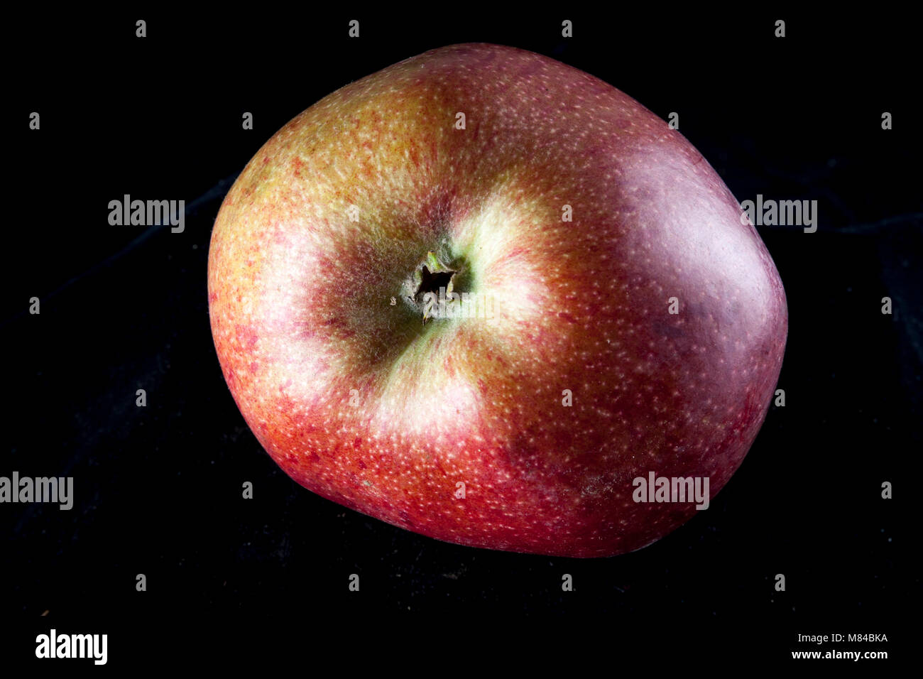 Antico tedesco Apple Cultivar Rheinischer Krummstil Foto Stock