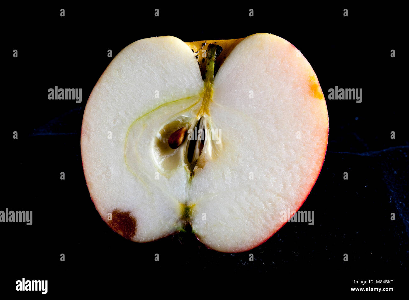 Antico tedesco Apple Cultivar Rheinischer Krummstil Foto Stock