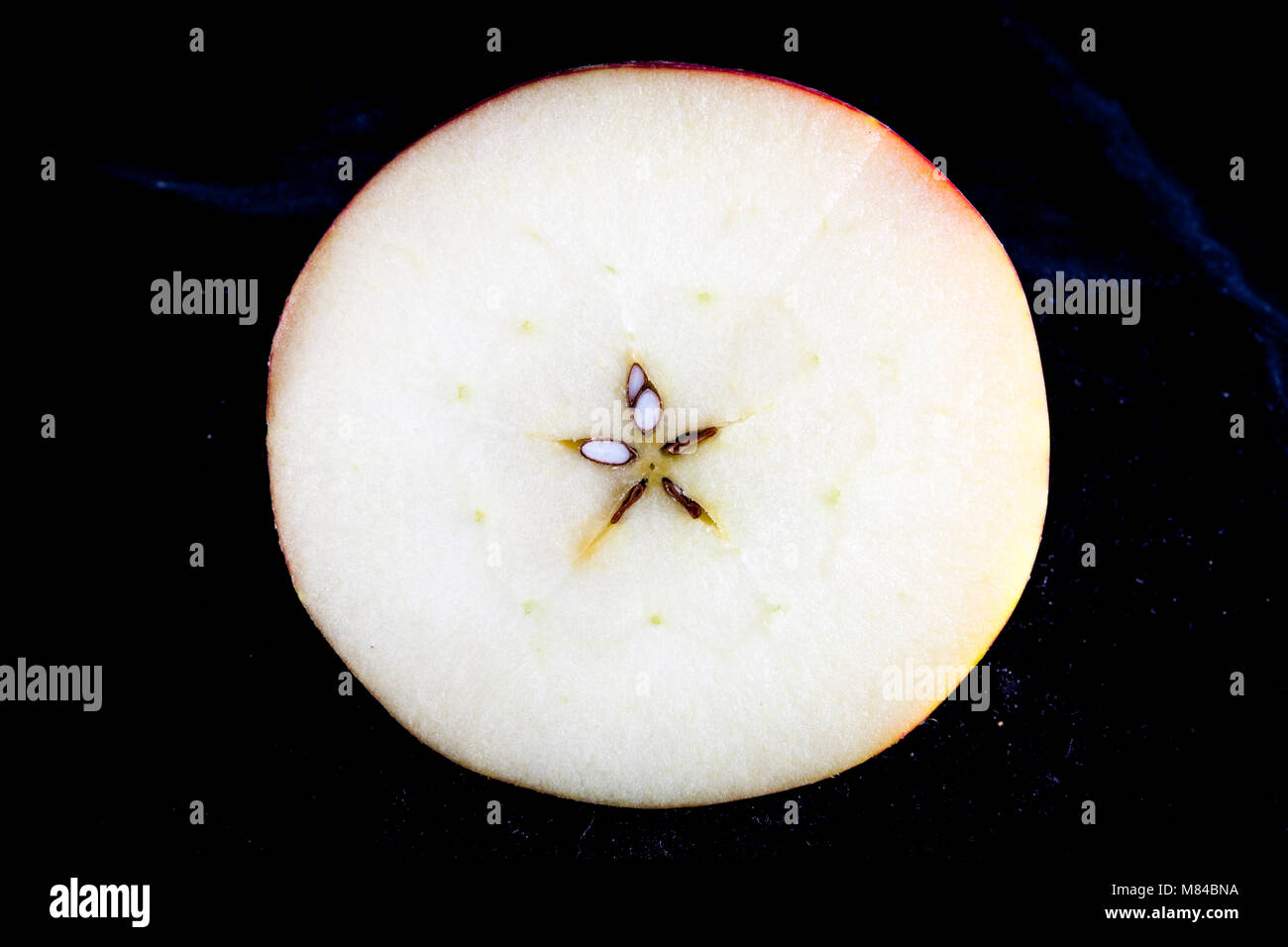 Antico tedesco Apple Cultivar Boskop Foto Stock