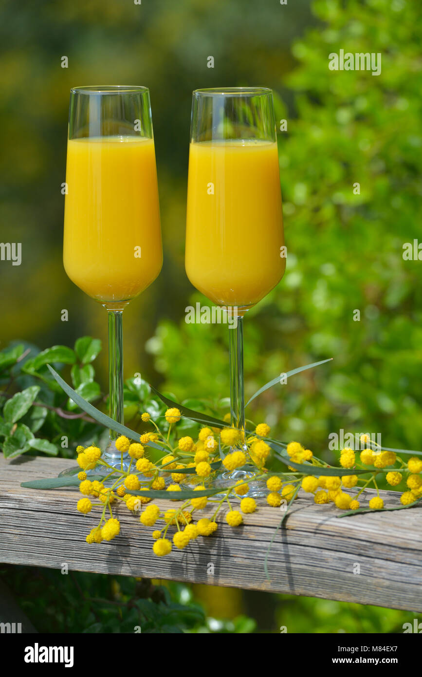 Due bicchieri di mimosa cocktail all'aperto contro il lussureggiante fogliame Foto Stock