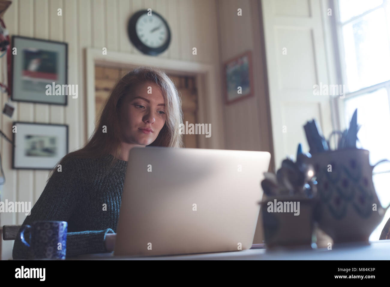 Donna che utilizza portatile a casa Foto Stock