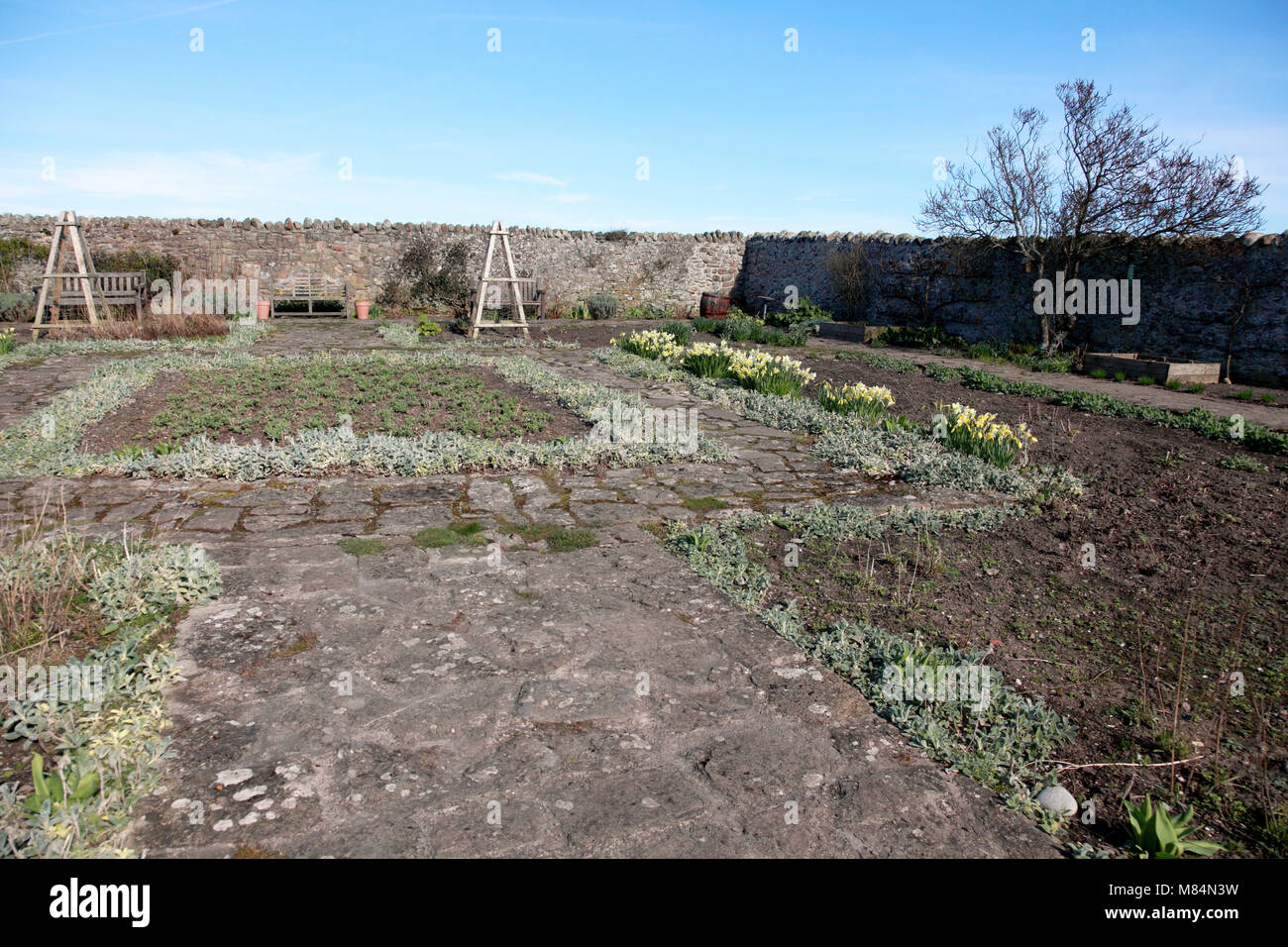 Il giardino murato progettato da Gertrude Jekyll su Lindisfarne, Isola Santa visto nel marzo prima della stagione di crescita Foto Stock