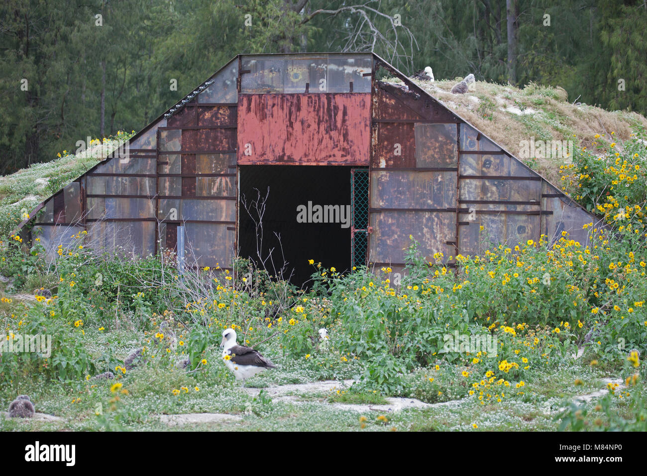 Armco quonset hut coperto di sabbia e utilizzato come un bunker per lo stoccaggio di munizioni durante la Seconda Guerra Mondiale. Foto Stock