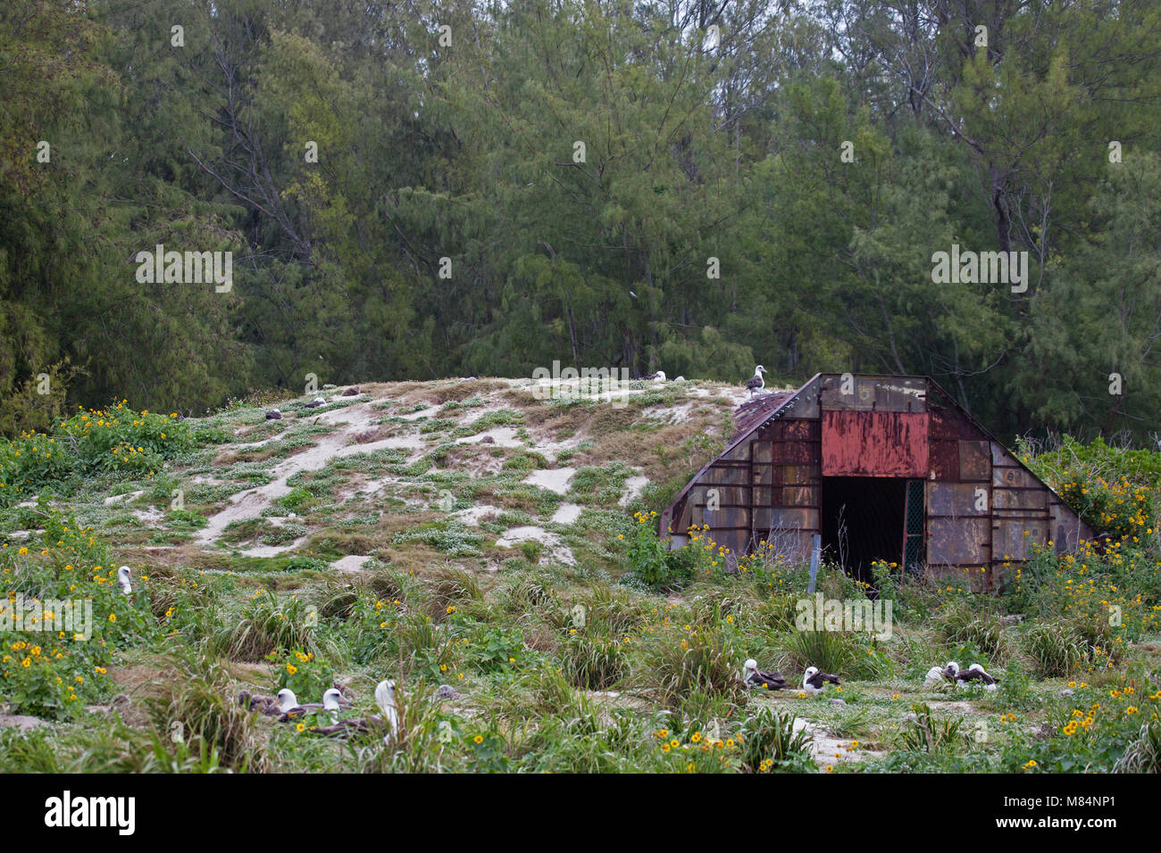 Armco quonset hut coperto di sabbia e utilizzato come un bunker per lo stoccaggio di munizioni durante la Seconda Guerra Mondiale. Foto Stock