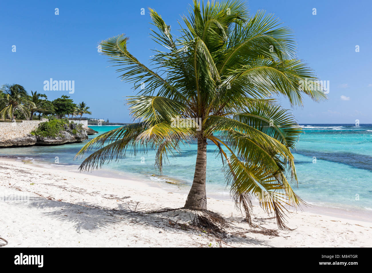 Un muro di pietra e palme sulla spiaggia Spotts a Savannah sul lato sud di Grand Cayman, Isole Cayman Foto Stock