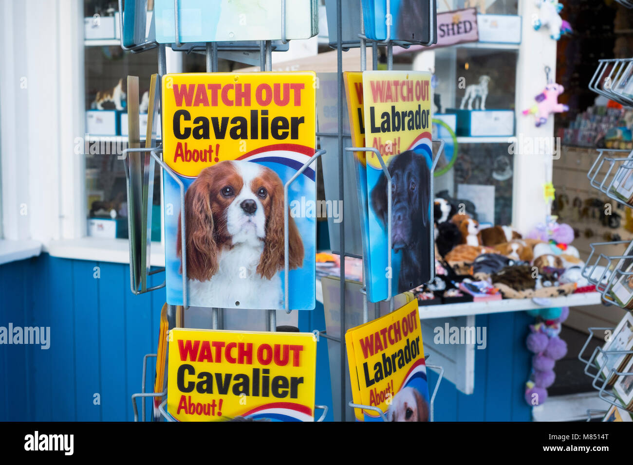 3D i segni degli animali per la vendita sul Llandudno Pier, Wales, Regno Unito. Foto Stock