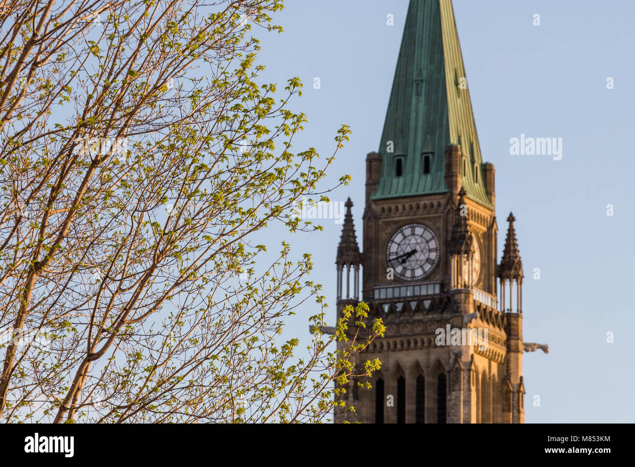 La molla che arrivano a Ottawa Foto Stock