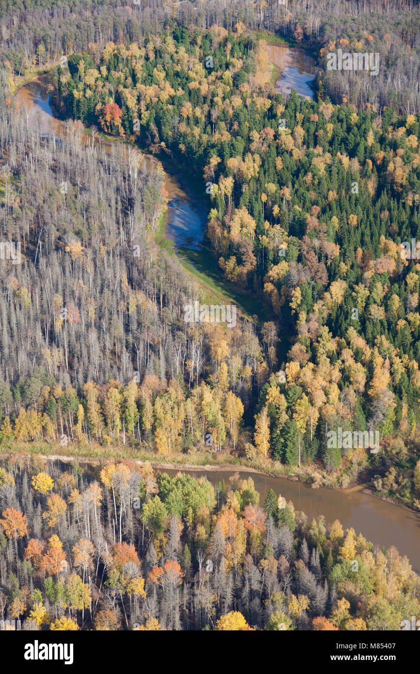 Vista prospettica di autunno la foresta e il fiume Foto Stock