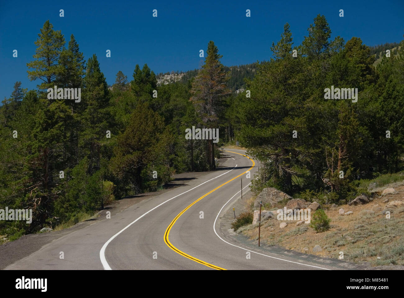Carson Pass National Scenic Byway, El Dorado National Forest, California Foto Stock