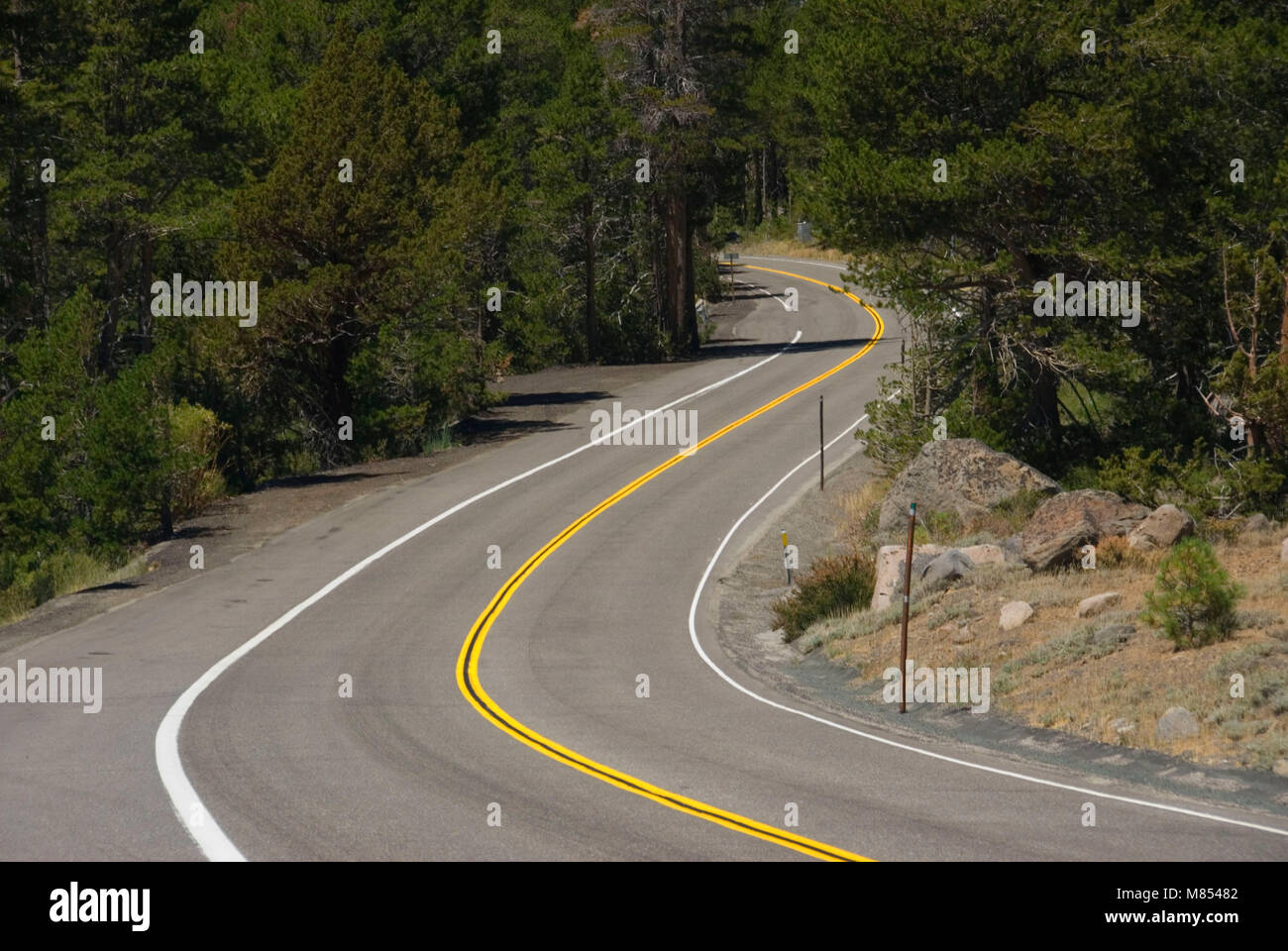 Carson Pass National Scenic Byway, El Dorado National Forest, California Foto Stock