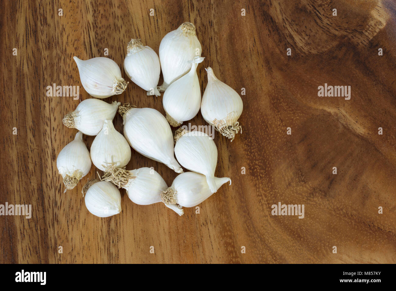 Solo l'aglio o perla aglio o singolo spicchio d aglio su un vassoio in legno Foto Stock