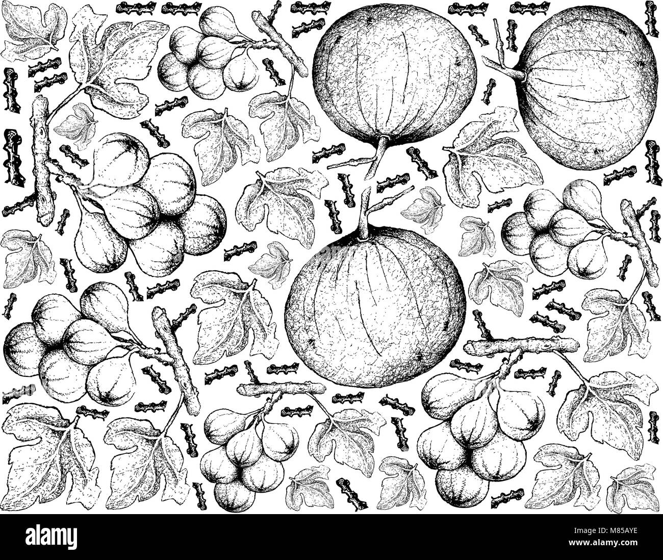 Frutti tropicali, immagine di sfondo di mano il bozzetto Sandoricum Koetjape, Santol o Krathon e Cluster fico o Ficus racemosa. Illustrazione Vettoriale