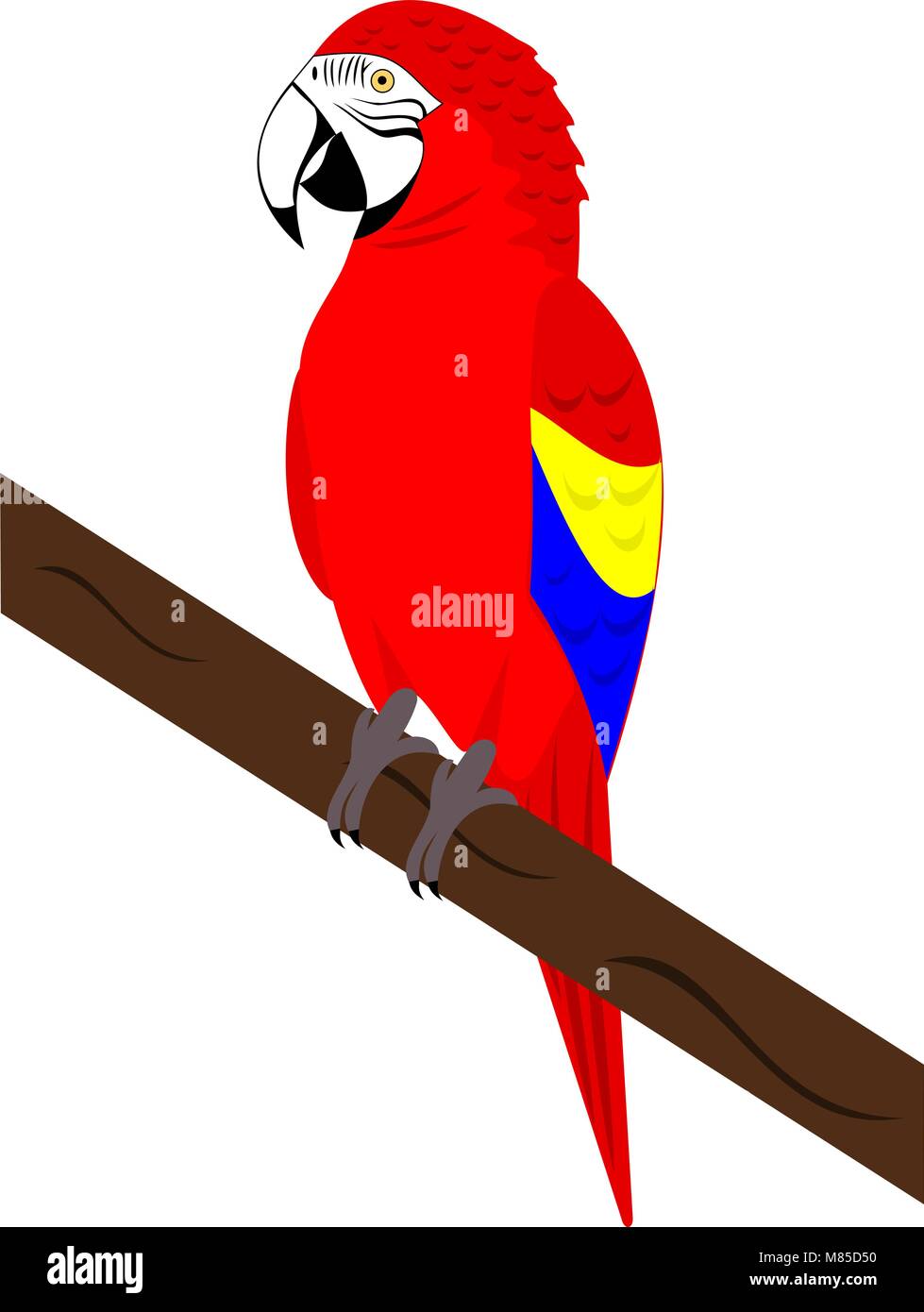 Un Rosso Macaw Parrot Illustrazione Vettoriale