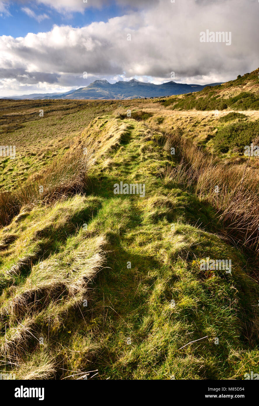 Un inverno vista attraverso la brughiera delle montagne di Snowdonia nel Galles del Nord, Regno Unito. Foto Stock