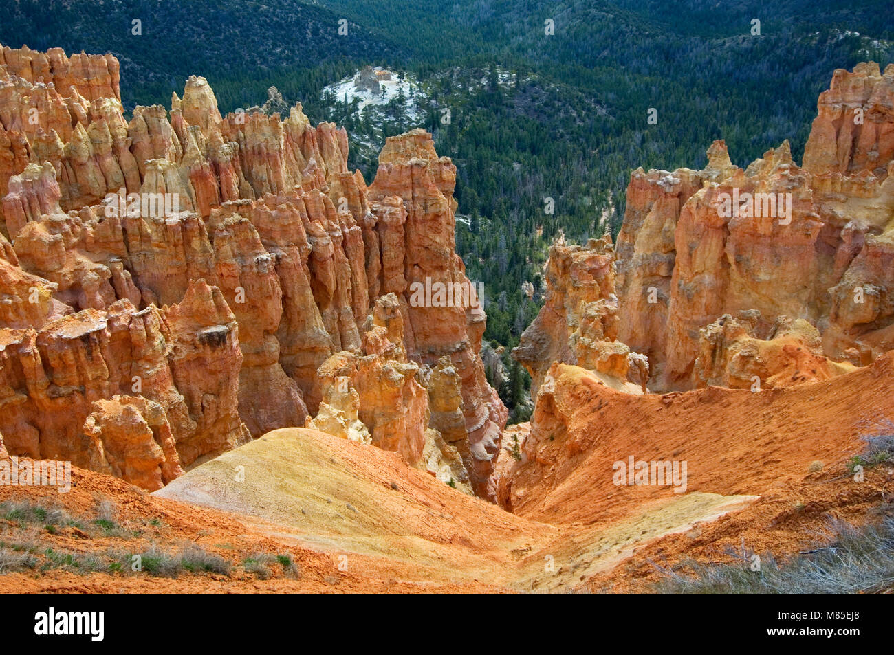 Inspiration Point fornisce un mozzafiato, vista panoramica delle migliaia di hoodoos nel Parco Nazionale di Bryce Canyon dell'Anfiteatro. Foto Stock