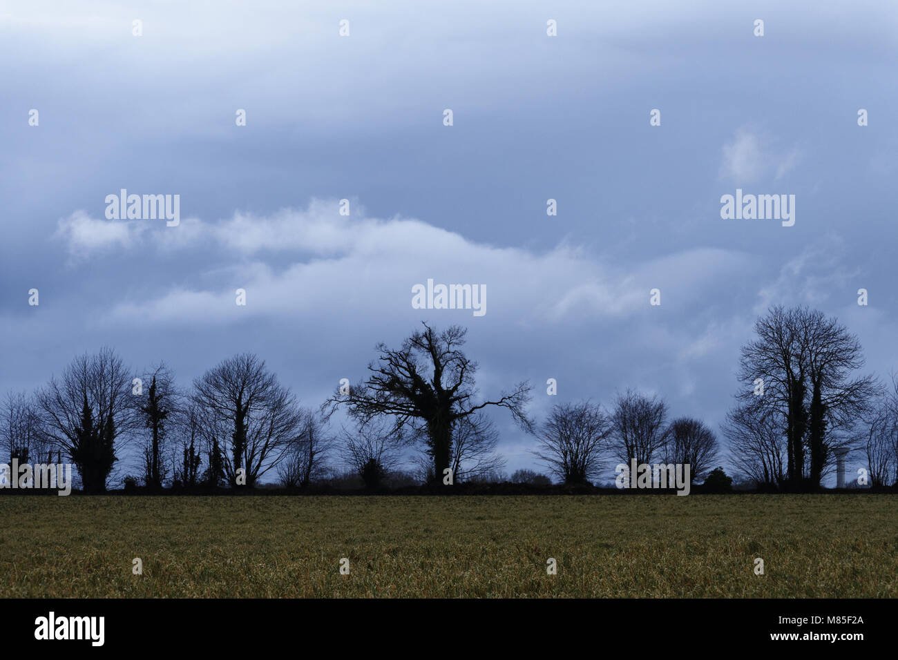 Caduta del giorno sul paesaggio, in inverno, nord Mayenne (Pays de la Loire, Francia). Foto Stock