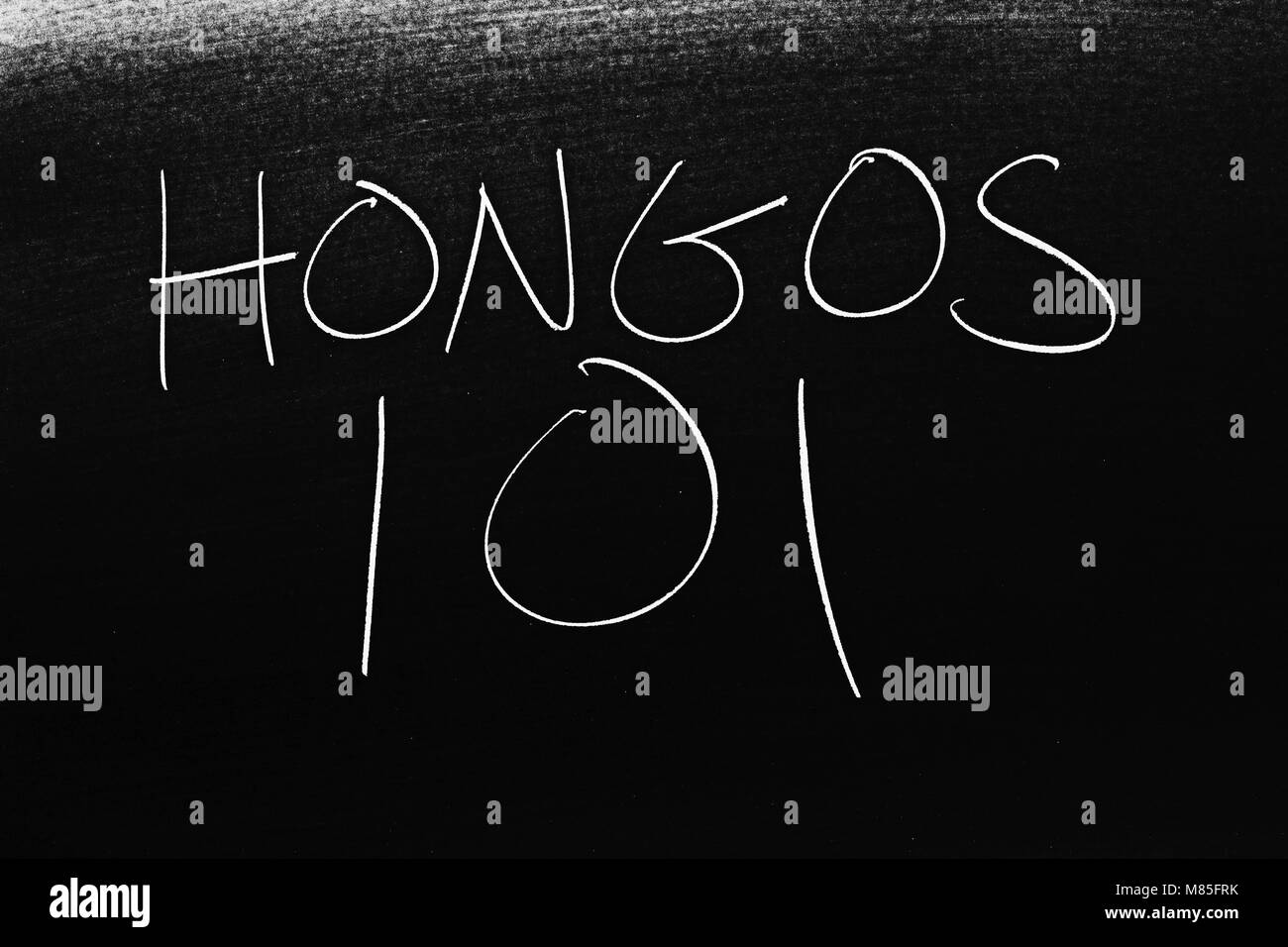Le parole Hongos 101 su una lavagna in Chalk Foto Stock