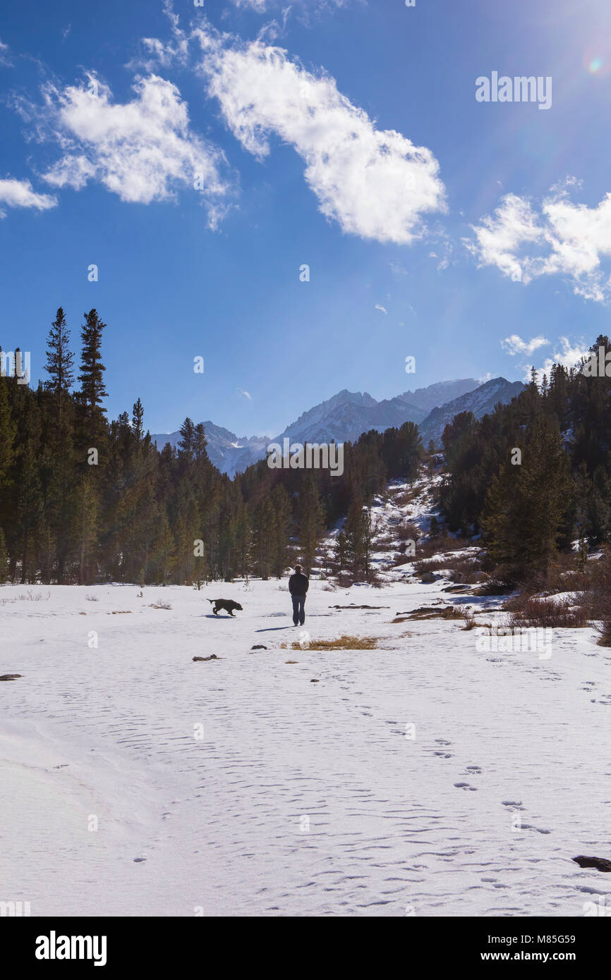 Donna che cammina il suo cane nella neve con gli alberi e le montagne sullo sfondo con cielo blu e nuvole bianche nelle montagne della Sierra Nevada in California Foto Stock