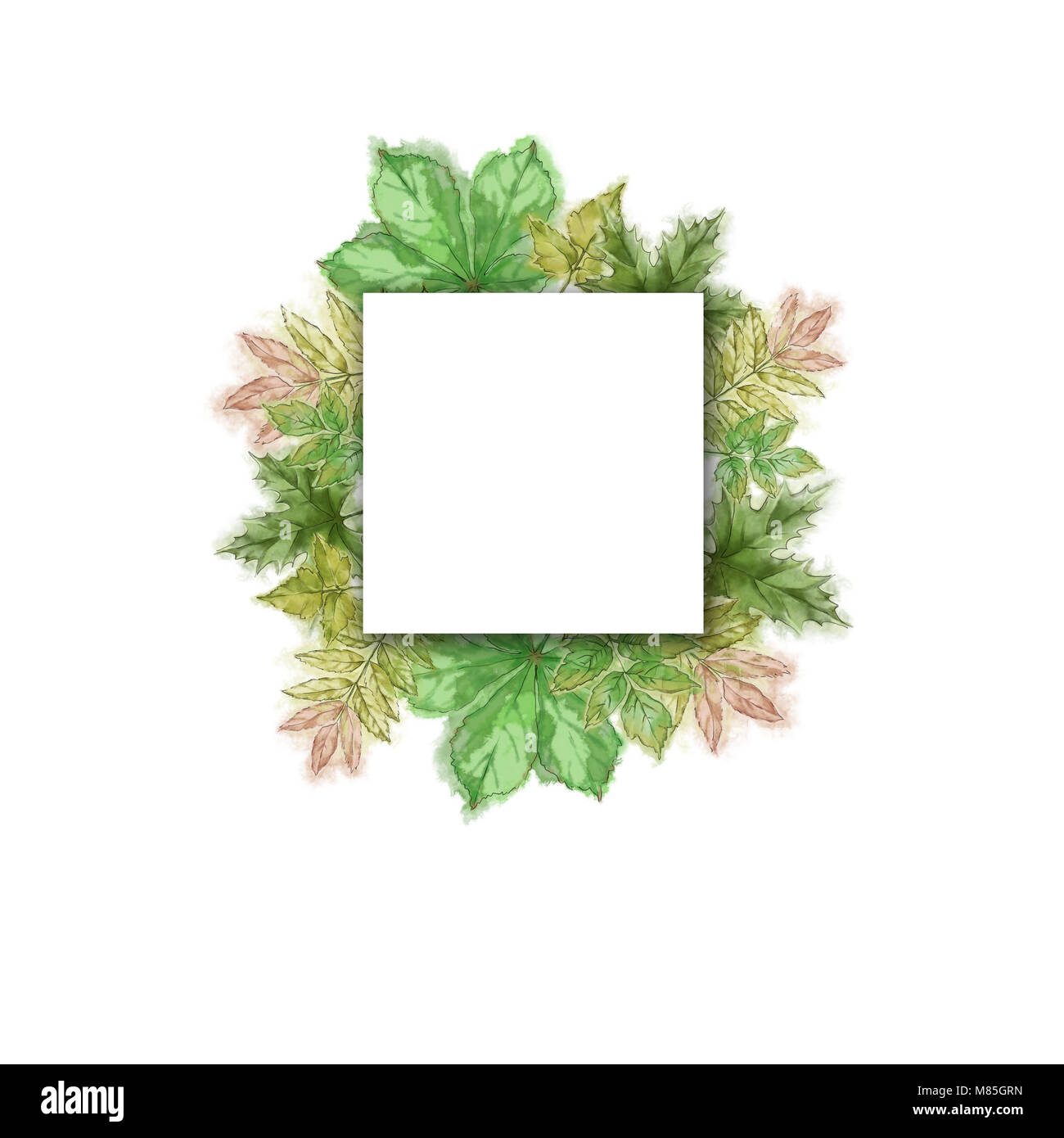 Albero verde serto di foglie con quadrato bianco copia testo spazio. Rovere, Chesnut, acero, Linden lascia il modello. Square Templae wwith foglia verde ghirlanda. Foto Stock Albero verde serto di foglie con quadrato bianco copia testo spazio. Rovere, Chesnut, acero, Linden lascia il modello. Square Templae wwith foglia verde ghirlanda. Foto Stock
