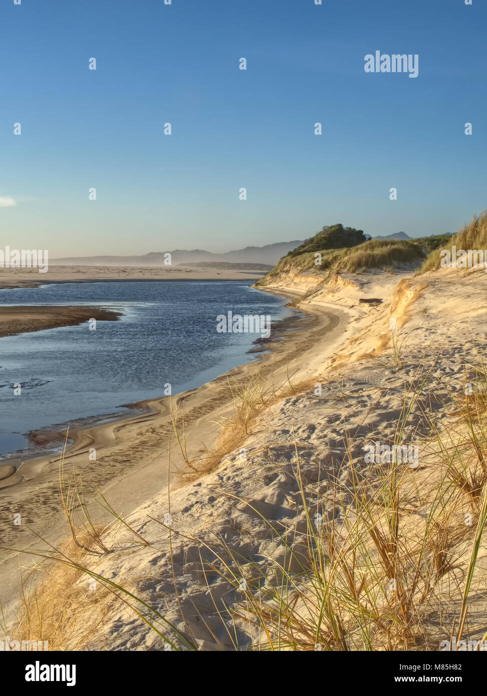 Scena costiere in Tasmania Australia dove il fiume Henty entra Ocean Beach Foto Stock