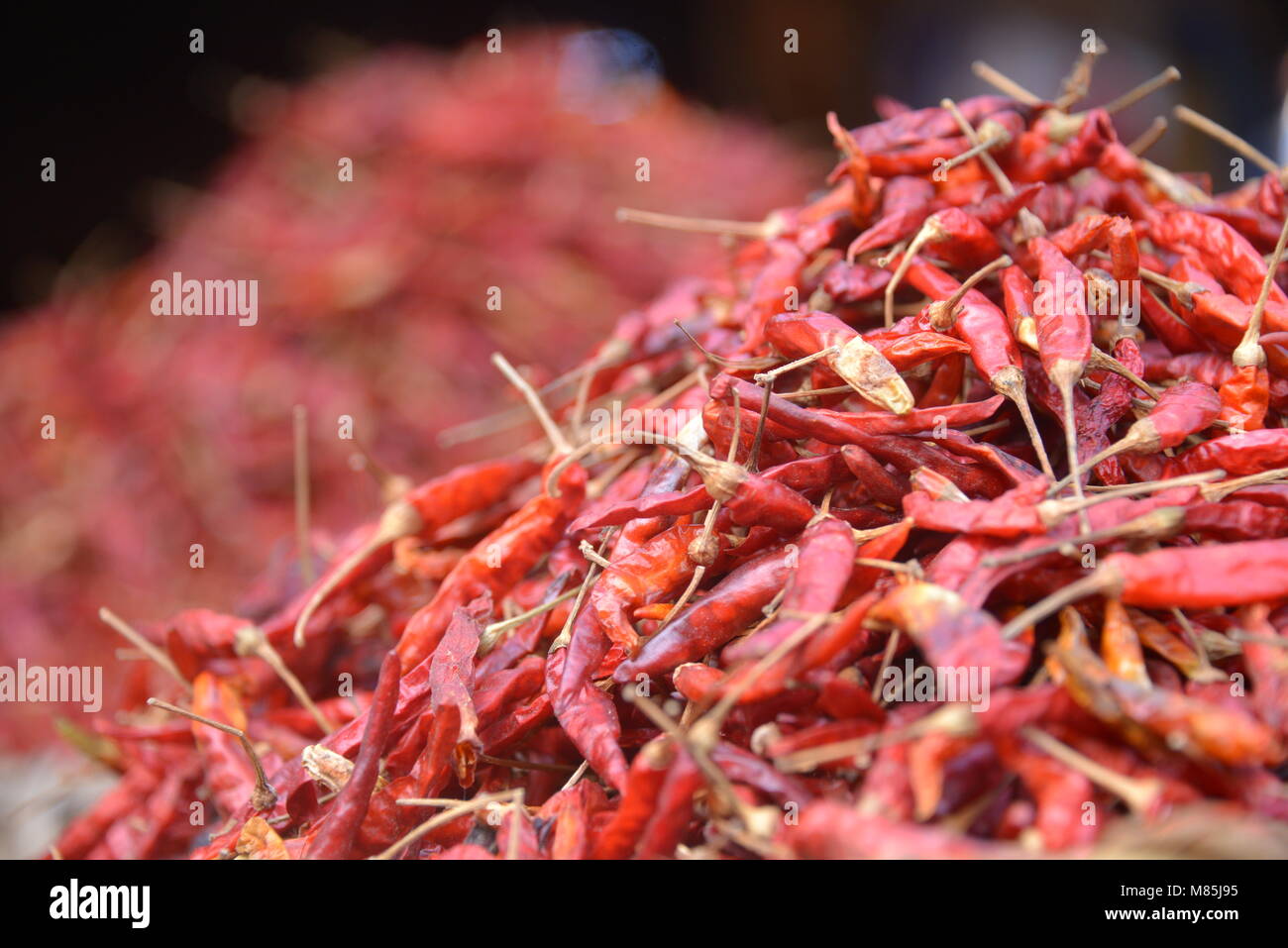 Spicy secchi peperoncino rosso sono pronti per la vendita Foto Stock