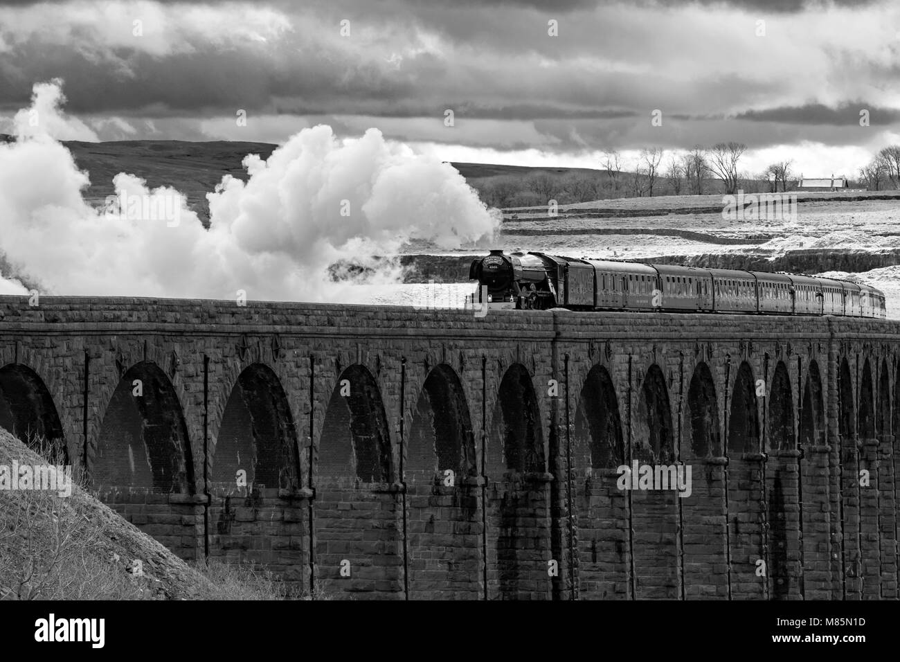 Puffing Steam cloud, iconico locomotore LNER classe A3 60103 Flying Scotsman, viaggia sopra gli archi del viadotto Ribblehead - North Yorkshire, Inghilterra, Regno Unito. Foto Stock