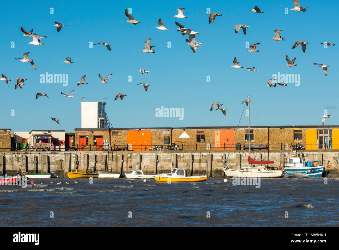 Un Gregge di gabbiani sorvolano il mare a Margate Porto di alta marea in una giornata di sole. Foto Stock