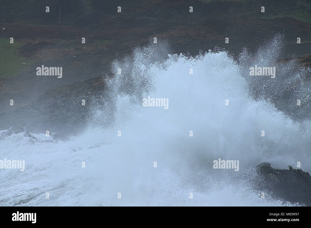 Insenatura di sabbia, Castletownshend, West Cork, Irlanda. Il 14 marzo 2018. Onde enormi pastella costa, pilotato da gale force venti. Credito: aphperspective/Alamy Live News Foto Stock