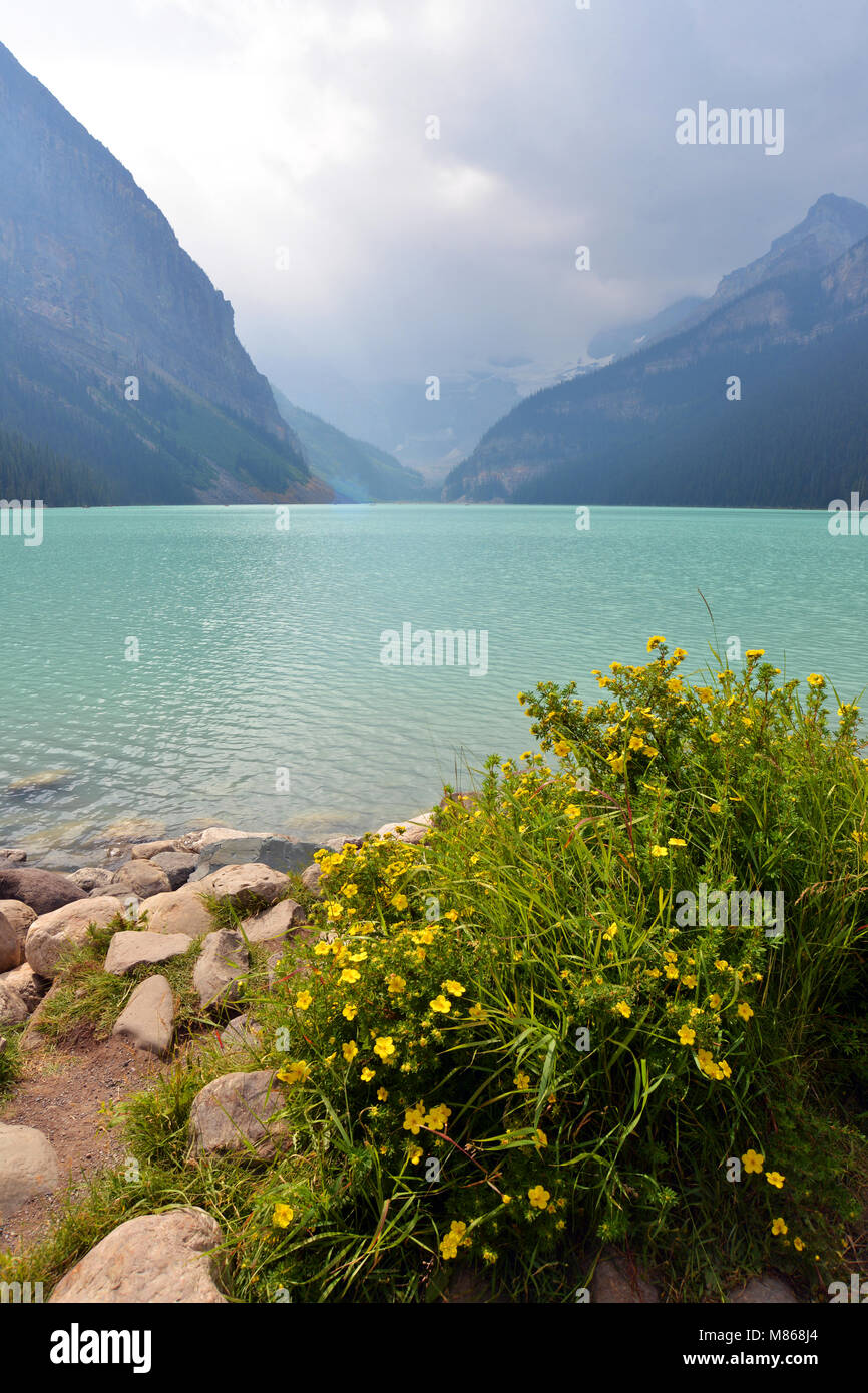 Il Lago Louise, Montagne Rocciose Canadesi Foto Stock