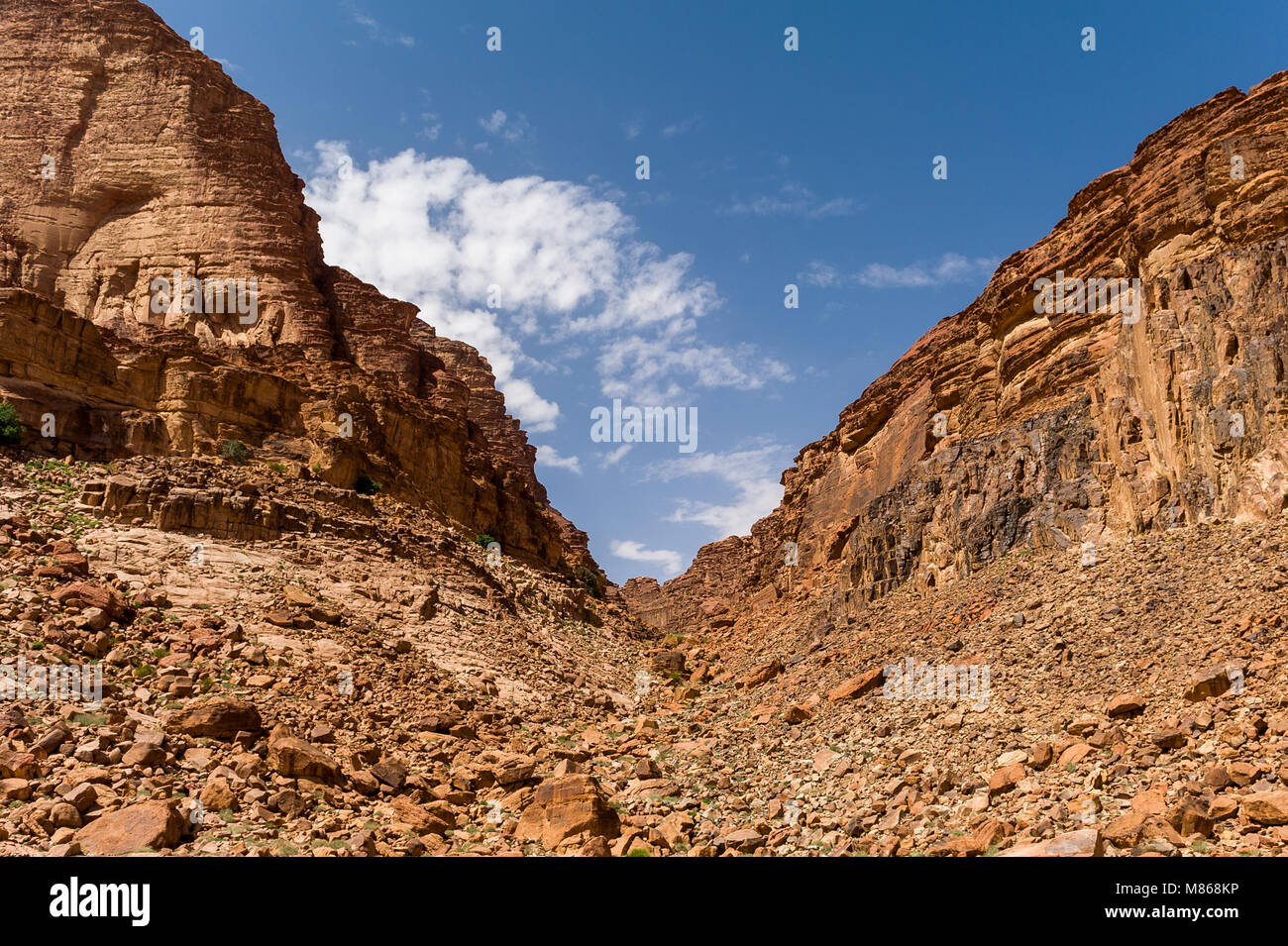 Wadi Rum , la Valle della Luna è una valle tagliata in pietra arenaria e roccia di granito in Giordania Meridionale. È il più grande di wadi in Giordania. Foto Stock