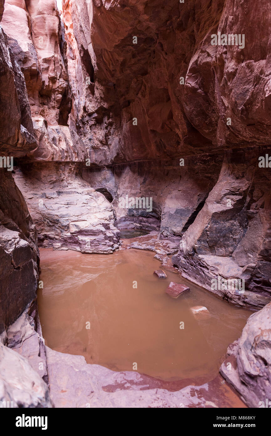 Piscina di acqua nascosto nella gamma della montagna di Wadi Rum, Giordania. Foto Stock
