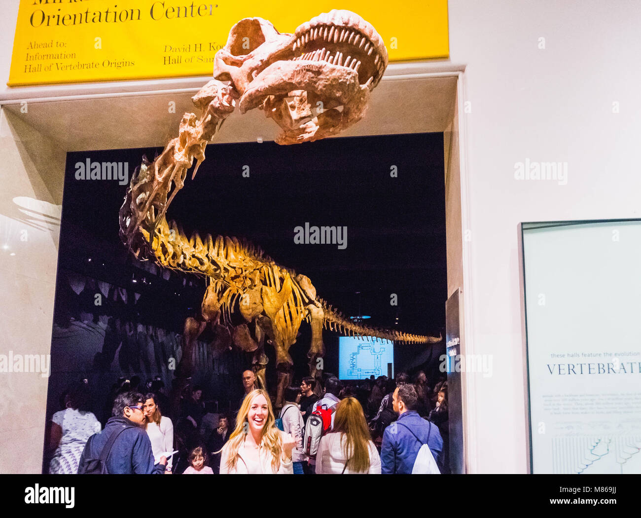 La città di New York, Stati Uniti d'America - 01 May 2016: Dinossaur modello di fossili al Museo Americano di Storia Naturale Foto Stock