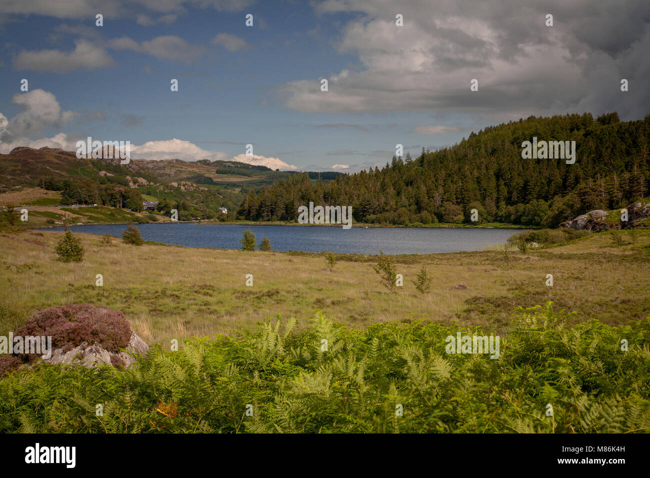 Llyn Mymbyr circondato da alberi e colline in una giornata di sole, Snowdonia, il Galles del Nord Foto Stock