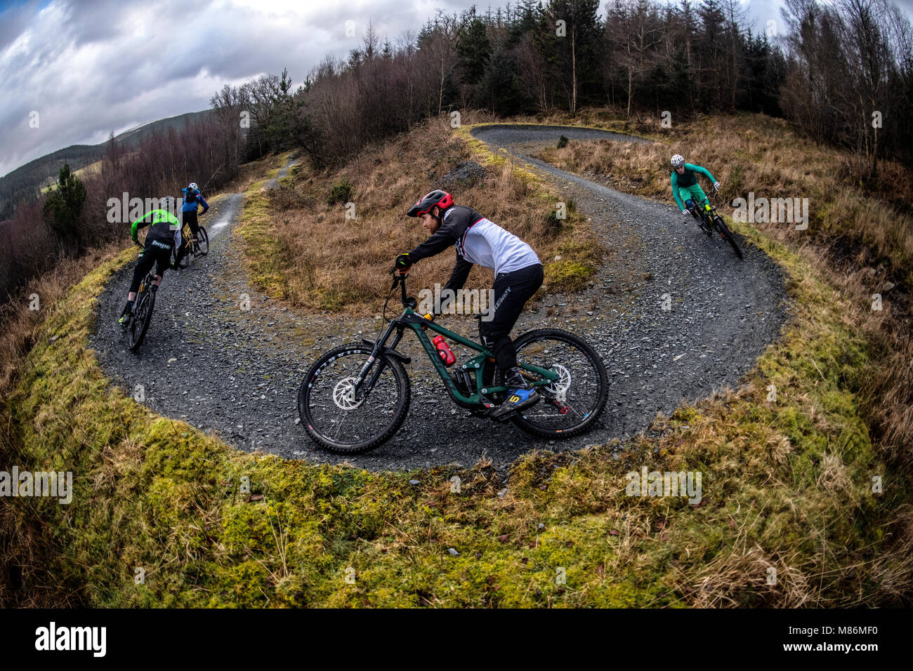 Un gruppo di appassionati di mountain bike cavalcare un sentiero a Coed-y-Brenin nel Parco Nazionale di Snowdonia. Foto Stock